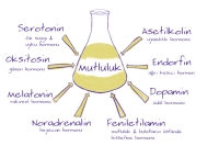 MUTLULUĞUNUZ İÇİN DOPAMİNİNİZİ NASIL ARTTIRILABİLİR.SİNİZ