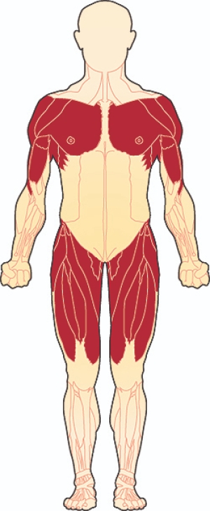 Limb-Girdle Musküler Distrofi (LGMBD)( Kol-Bacak Kas Distrofisi) Genetiği